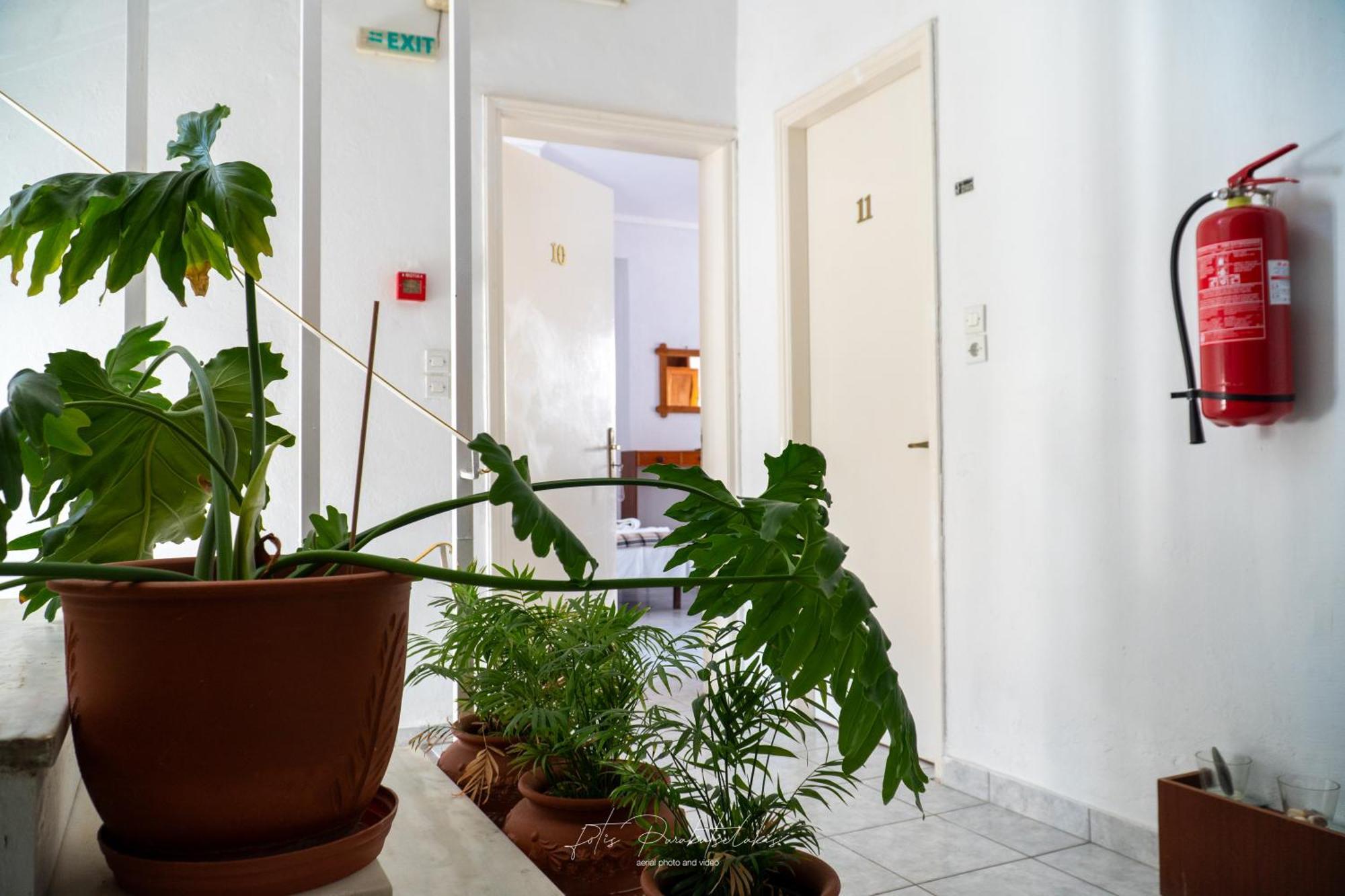 Alina Classic Hotel Λουτρά Αιδηψού Εξωτερικό φωτογραφία